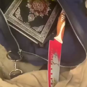 Man carrying multiple knives