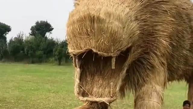 When everything is made of straw