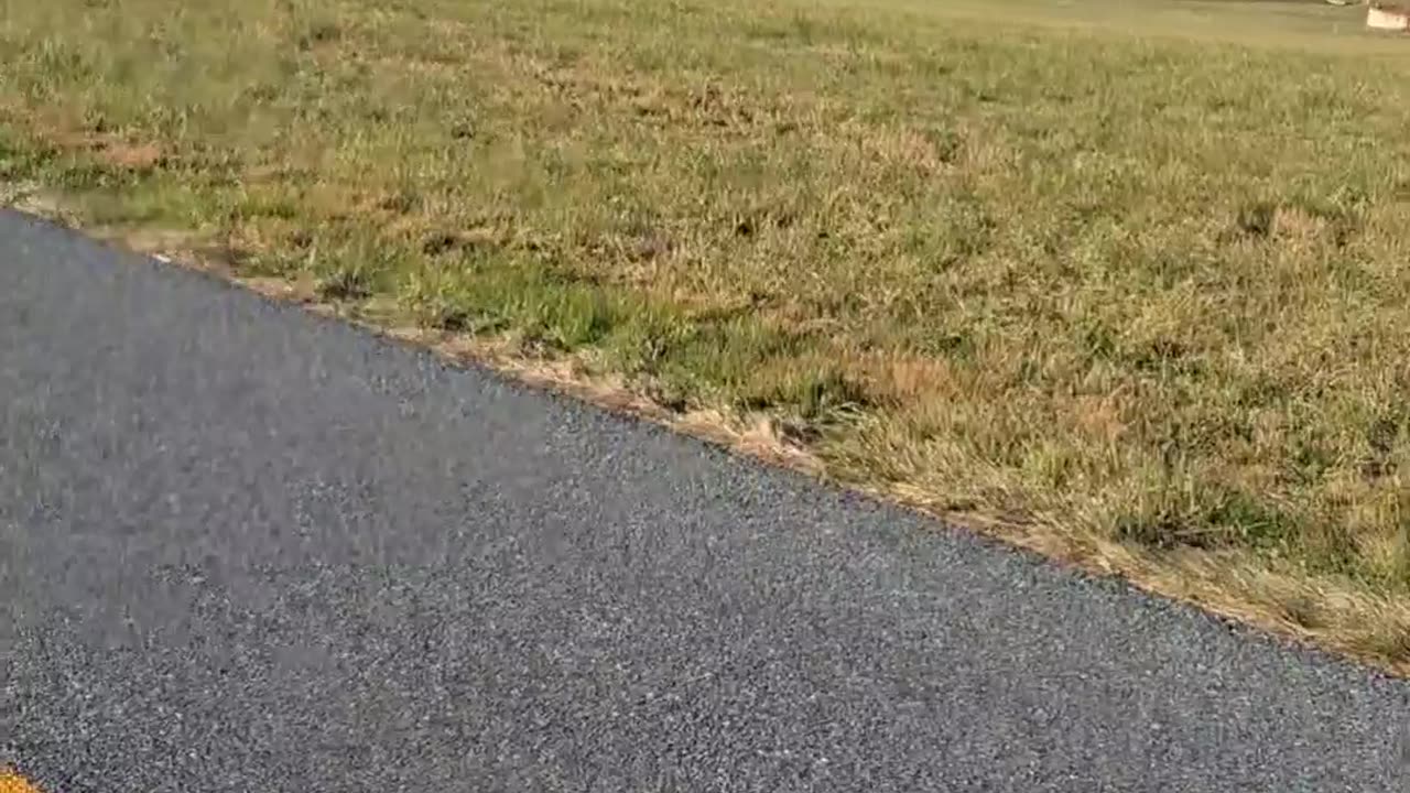 Saturday December 16th Walk and Talk