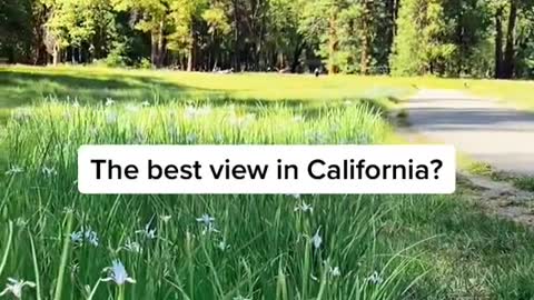 The best view in California?