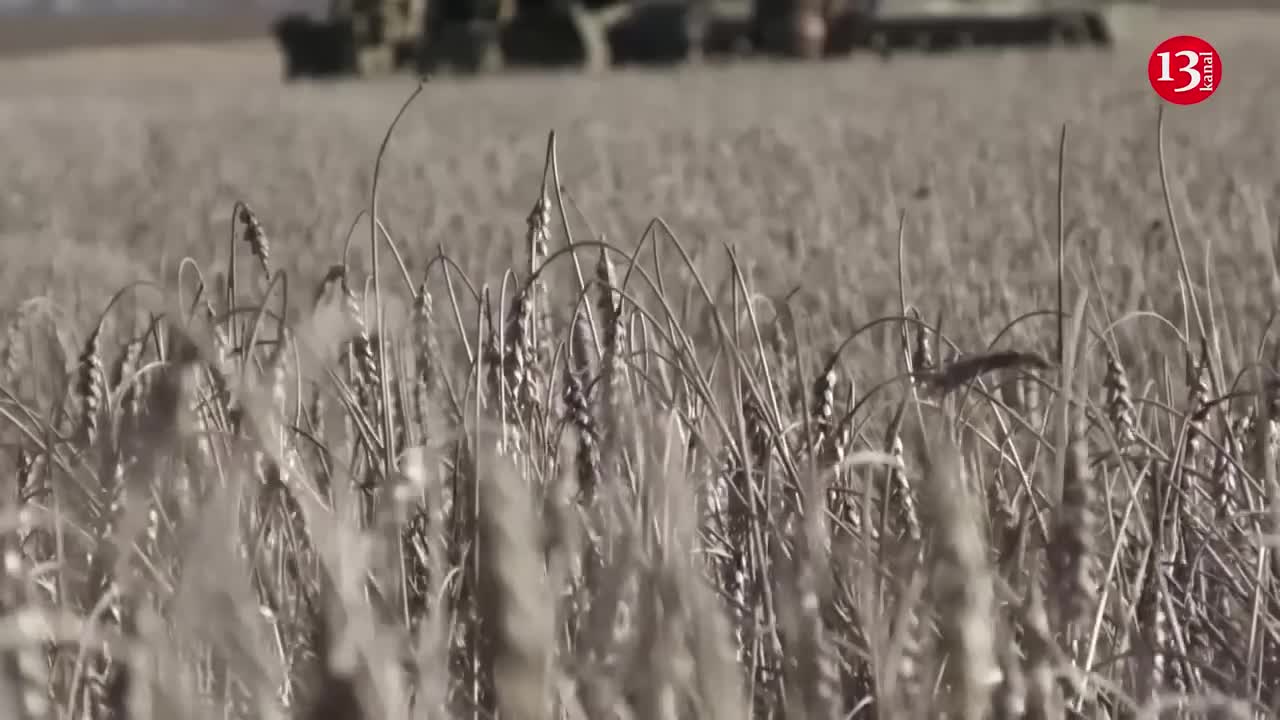 "We are not retreating" - fierce artillery battle near Bakhmut