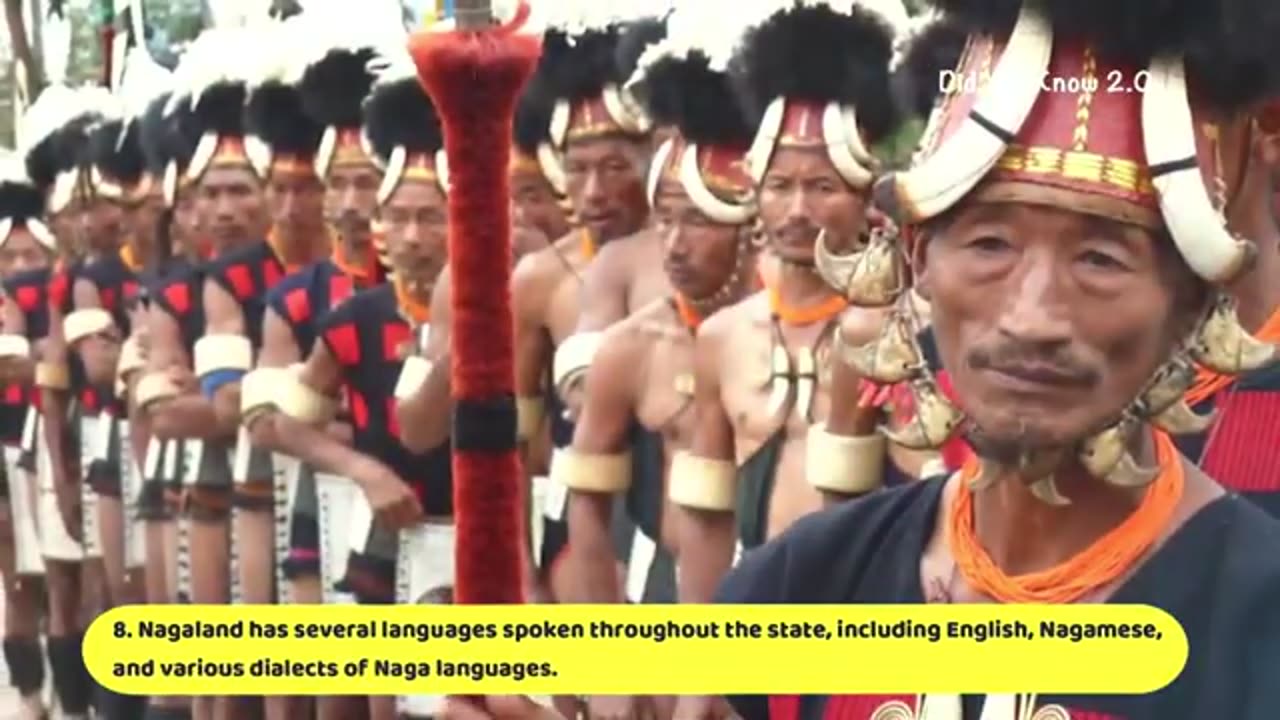 Naga people of Nagaland # 10 facts of Nagaland