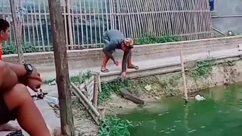 This is a beautiful and charming water-dwelling species