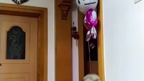 I can fly😝