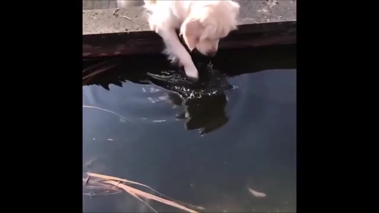 Episode 11 - Cannot stop laughing