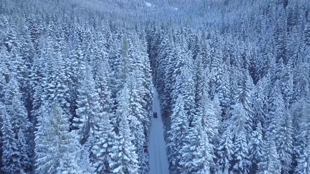 Зимние красоты