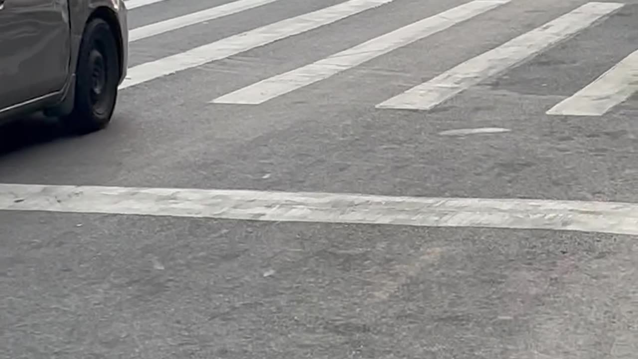 Summer Street Fight In Brooklyn