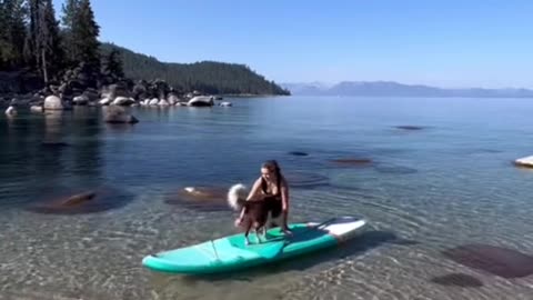 How to teach your dog toPADDLEBOARD