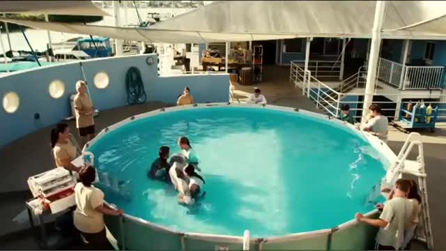 Dolphin Tale (2011) Movie Trailer HD_Cut