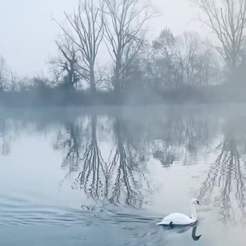 😊 Philippians 4:6