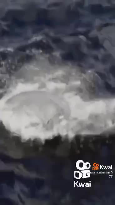 FLYING DISC COMES OUT OF THE SEA WATCH THE VIDEO AND SHARE