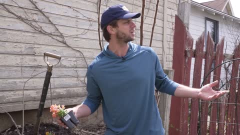 4 Types of Gardeners