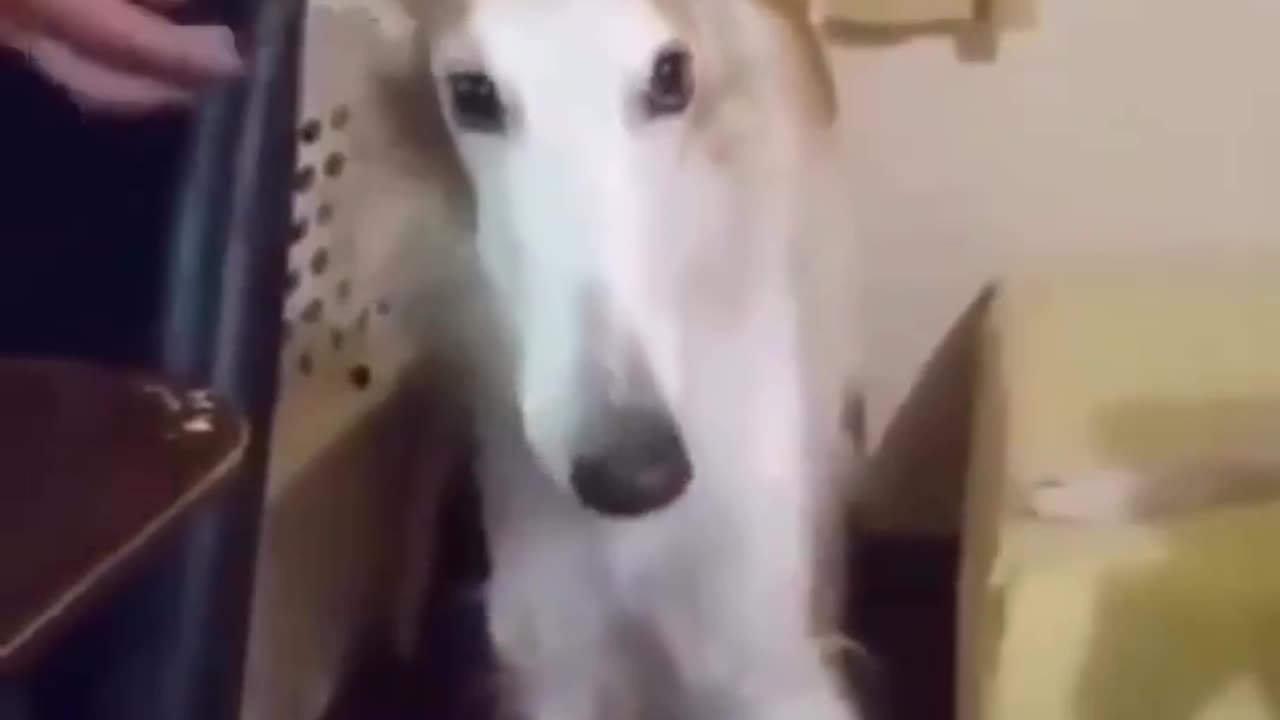 Let me do it for you