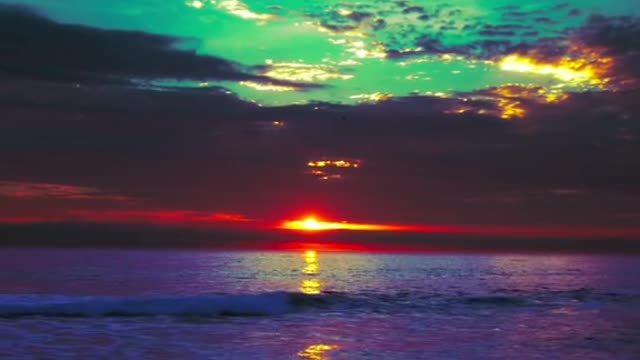 unseen by her, had passed her that morning in the woo