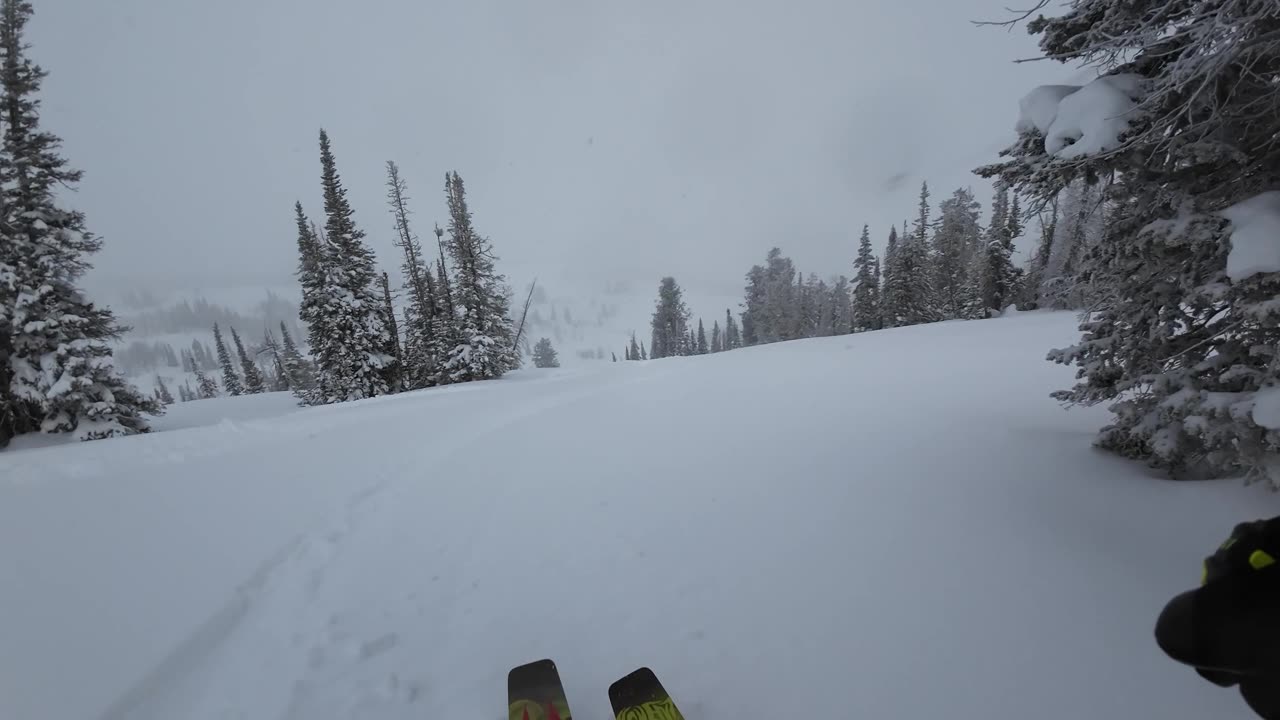 3/30 #5 repete of claires run with a different pair of skis.