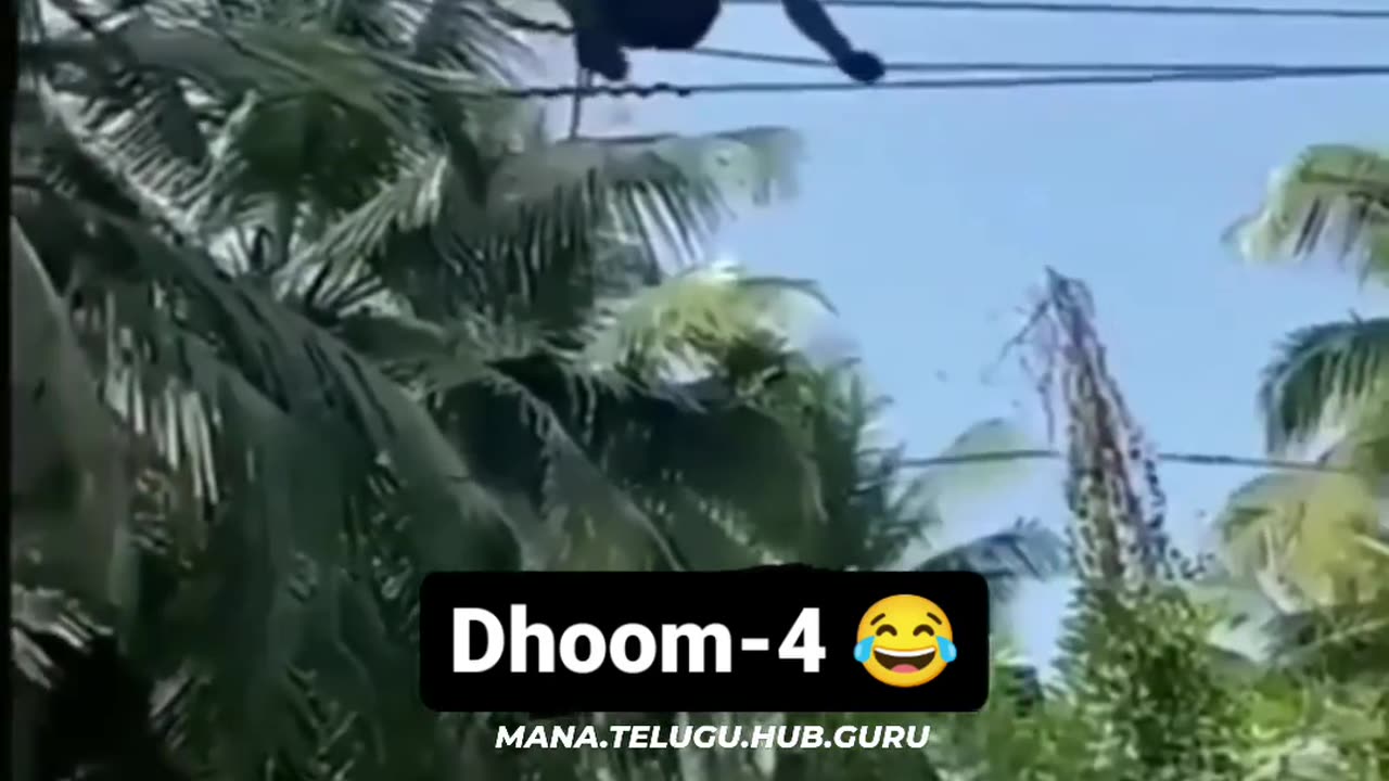 🤣🤣🤣👻