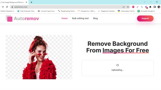 Remove Image Backgrounds Automatically