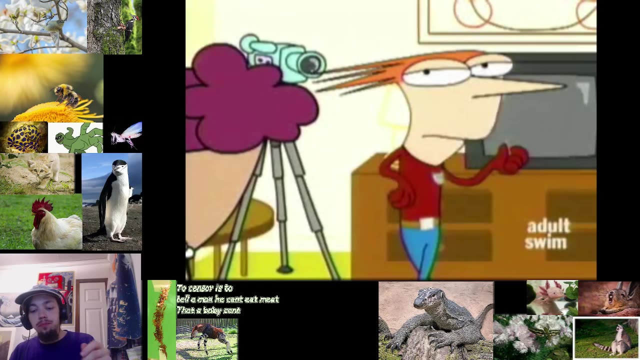 Short Cartoons and Trying a Game