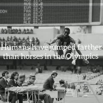 Did you know? Humans have jumped farther than horses in the Olympics