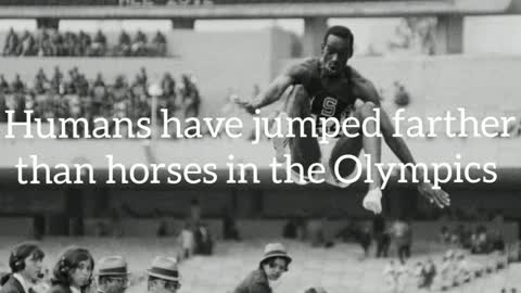 Did you know? Humans have jumped farther than horses in the Olympics