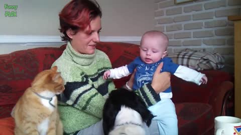 Funny Babies Laughing Hysterically at cat