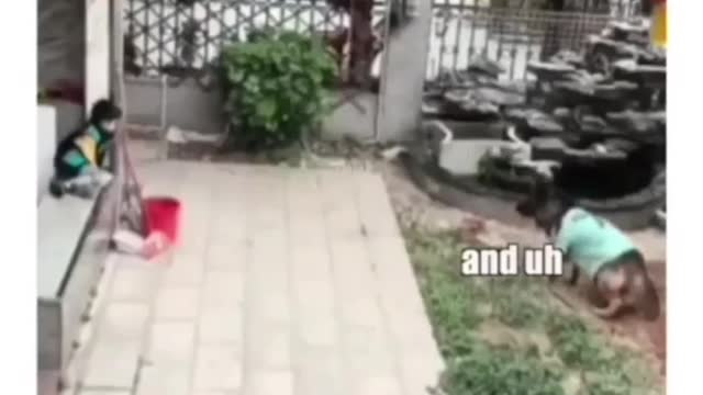Homie in the last one never expected that himself