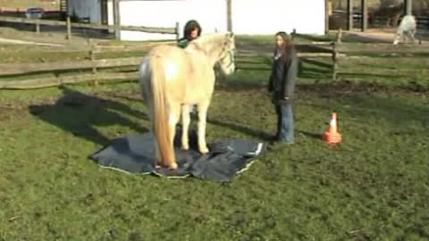 Wanderreitschule - Berber im Roundpen 2002