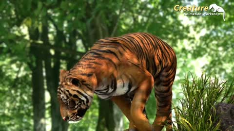 Tiger Animation