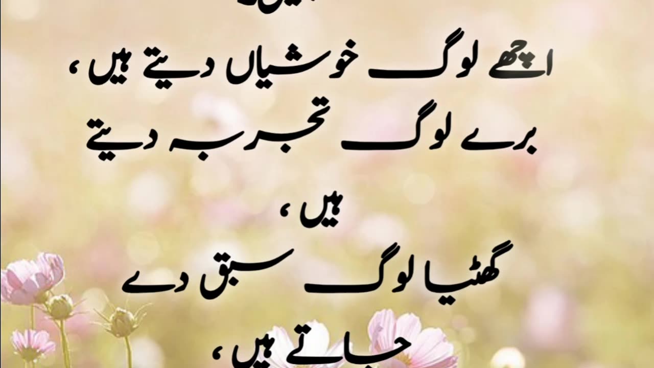 Best urdu short quotes | Urdu short aqwal