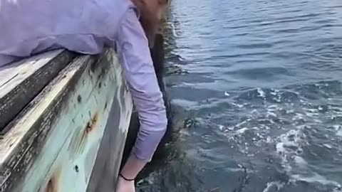 very dangerous fish