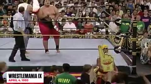 HISTORY OF HULK HOGAN