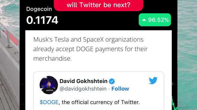 Dogecoin pumps after Elon Musk buys Twitter!