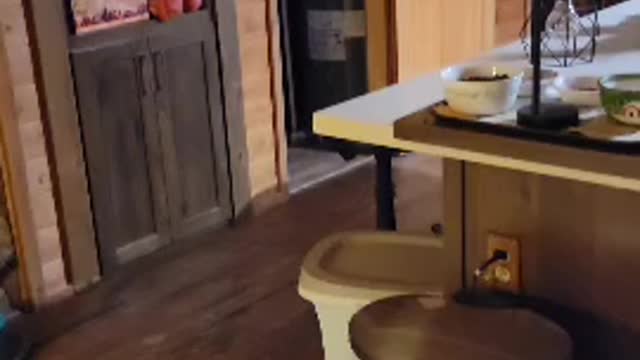 We made a secret Cat Cave