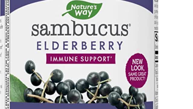 Nature's Way Sambucus Elderberry Gummies with Vitamin C and Zinc for Adult