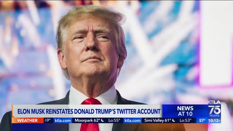 Elon Musk reinstates Donald Trump's Twitter account following poll