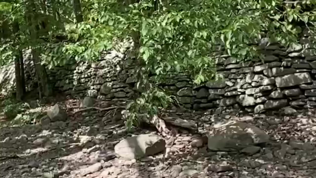 D & H Canal Remains