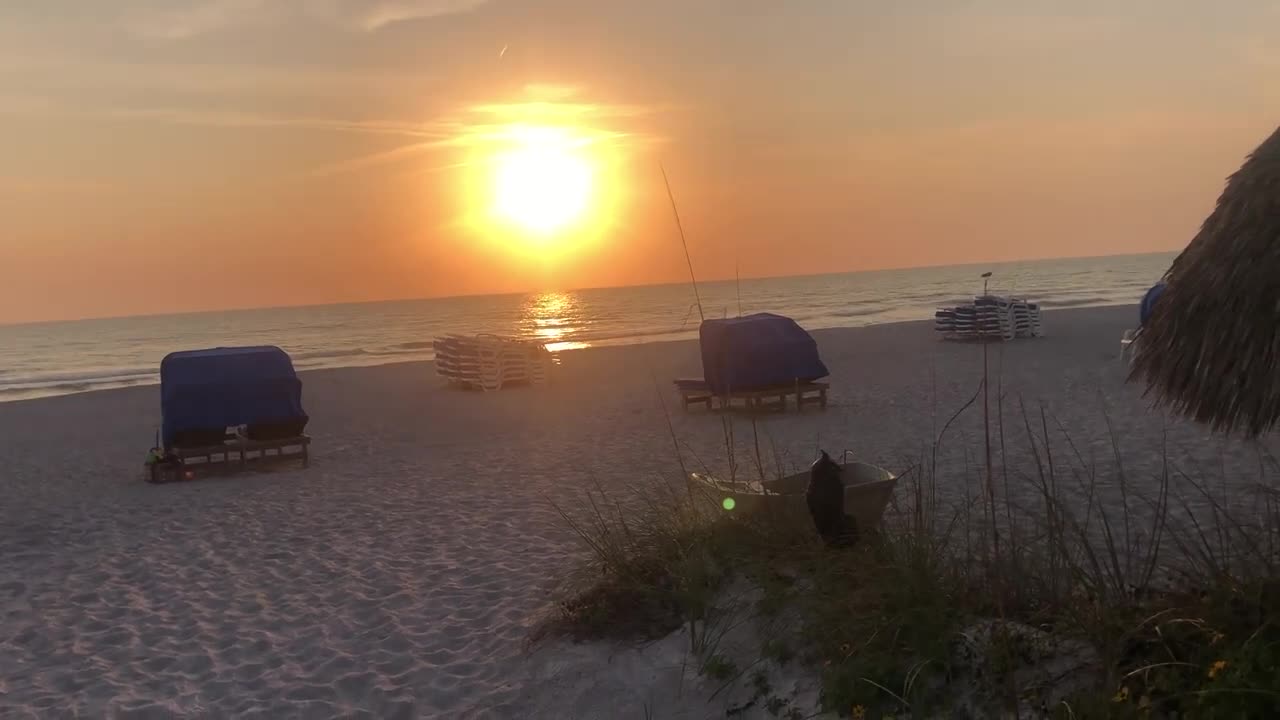 February 24, 2023 - Grilling at Sunset on Longboat Key, Florida