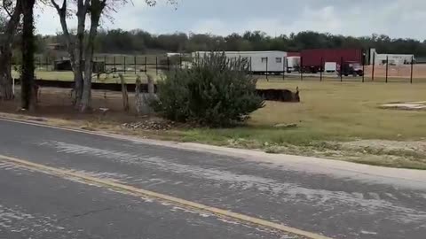 Giant new neuralink brainchip production facility breaking ground at del valle (devil), texas ...