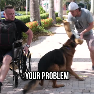 Thief Tries to Take My Bag, Ends Up Taking a Bite