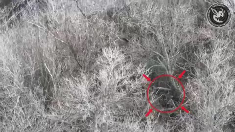 Brutal Ukrainian Drone Ops