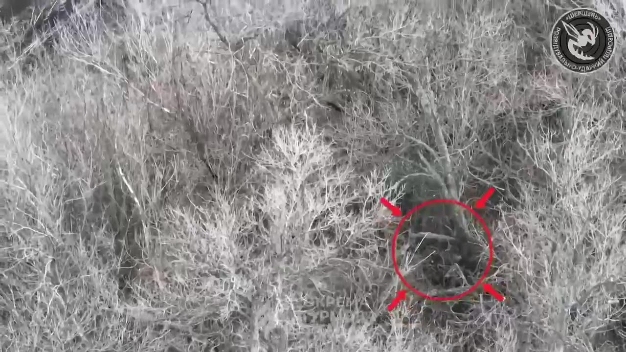Brutal Ukrainian Drone Ops
