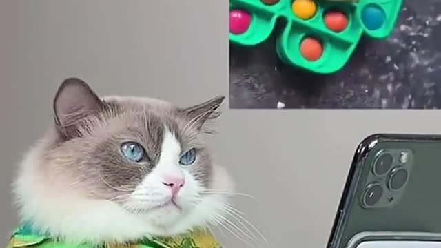 Always get a good mold 😝