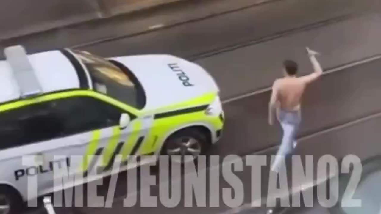 Police Vs Knife Wielding Illegal Alien