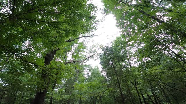 Touch of Nature Mountain Biking August 1, 2021