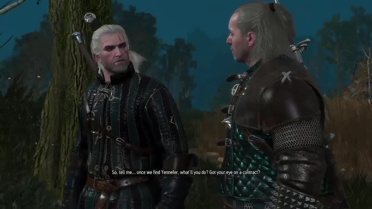 The Witcher 3 Playthrough Part 12