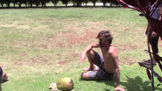 LIVE AND DIRECT FROM KAUAI THE CRAZY COCONUT GUY - May 22nd 2015