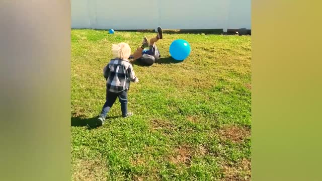 Funny Videos - Baby Fails Moments