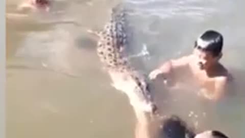 Indonesian teen playing with crocodile 🫣