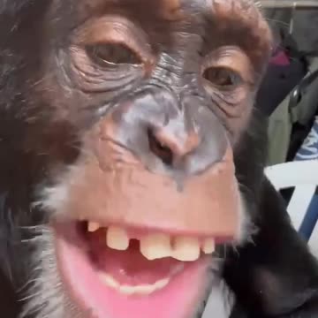 Where are your manners 😂😂