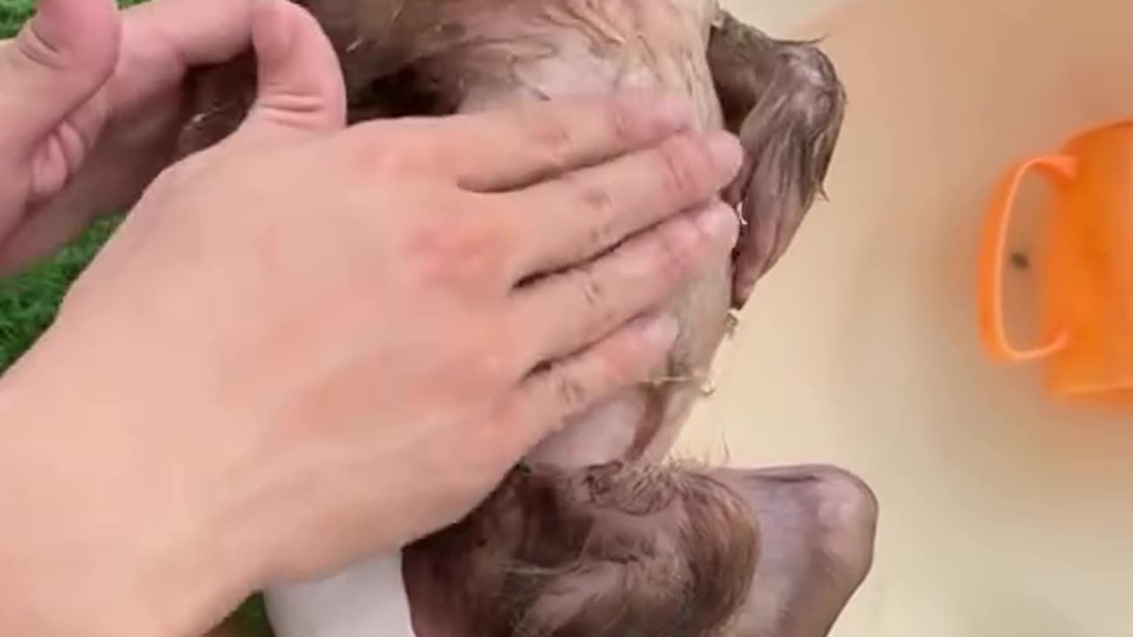 Monkey and Bunny Take a Bath Together - Adorable Bath Time!